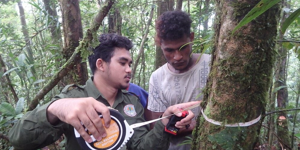 Spectacular rare orchid found during surveys in West Papua | Fauna